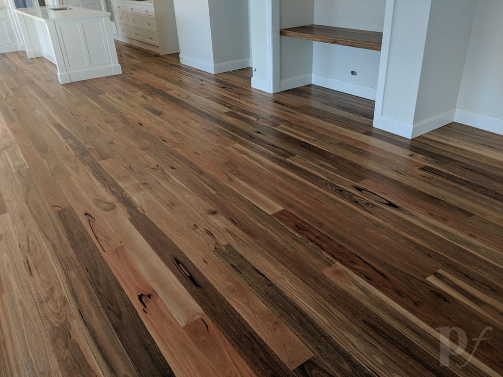 Spotted Gum - Hardwax Oil