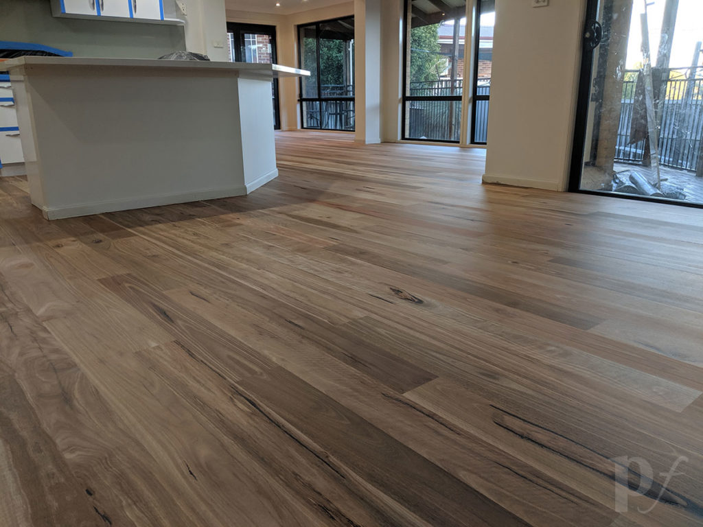 Spotted Gum - Invisible Finish