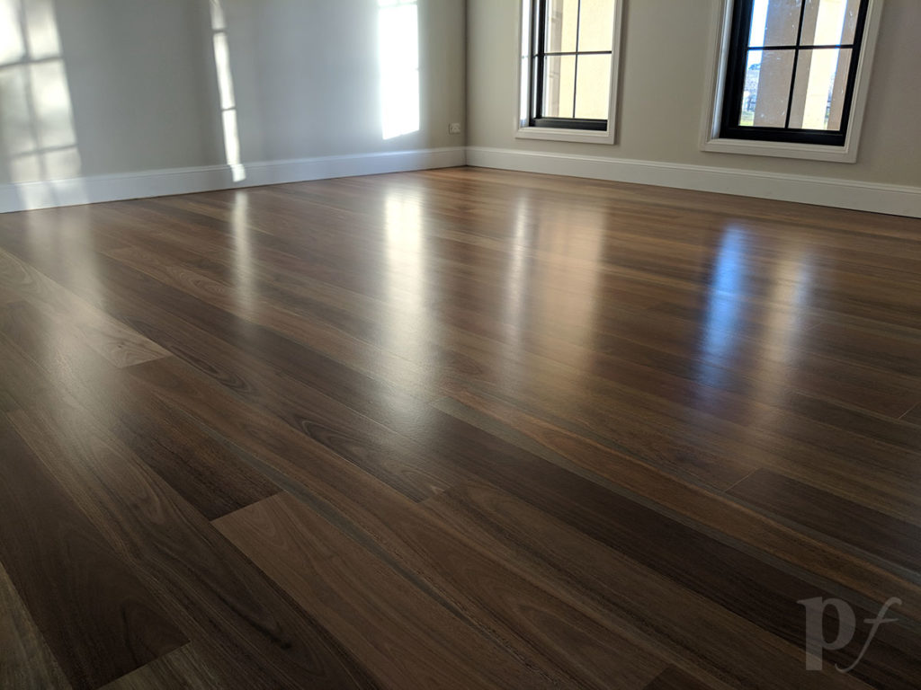 Spotted Gum - Satin Finish